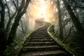 從古老石階底部仰拍，階梯穿越霧氣樹林向上蜿蜒，頂端融入燦爛光芒，強迫透視感